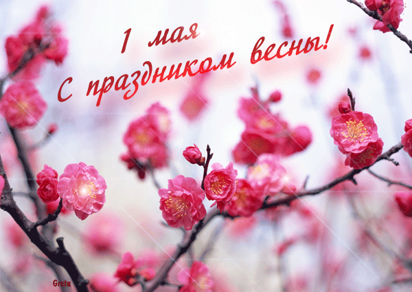 картинка под названием - 1 мая, с праздником весны из категории С днём рождения.