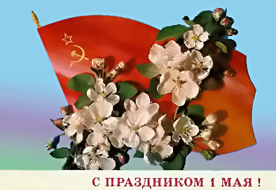 картинка под названием - С праздником 1 мая! из категории С днём рождения.