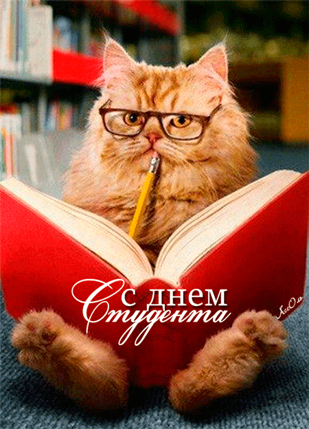 картинка под названием - День студента. Поздравление из категории С днём рождения.