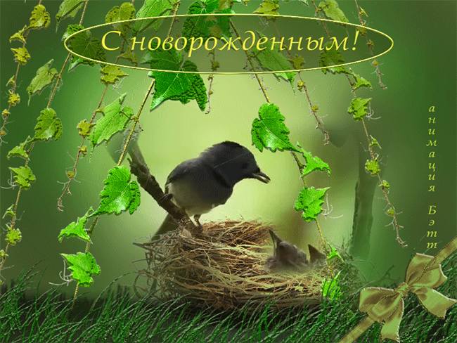 картинка под названием - С новорождённым! из категории С днём рождения.