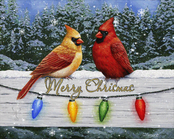 картинка под названием - Merry Christmas! из категории С днём рождения.