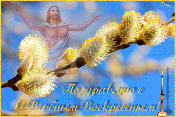 картинка под названием - Поздравляю с Вербным Воскресеньем! Пушистая верба из категории С днём рождения.