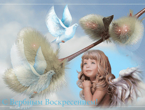 картинка под названием - Веточка вербы к празднику, gif из категории С днём рождения.