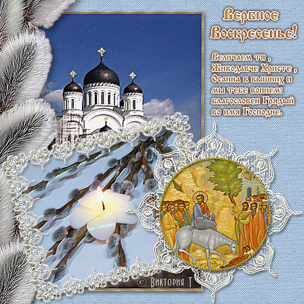 картинка под названием - Христианский праздник Вербное Воскресенье из категории С днём рождения.