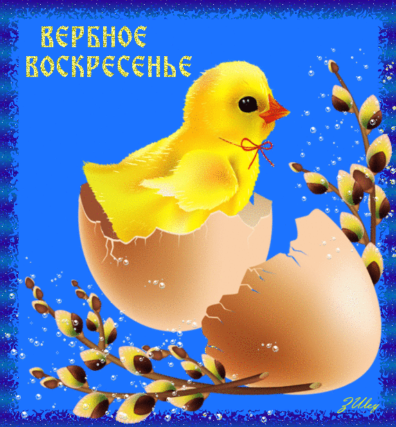 картинка под названием - Вербное Воскресенье, с праздником! из категории С днём рождения.