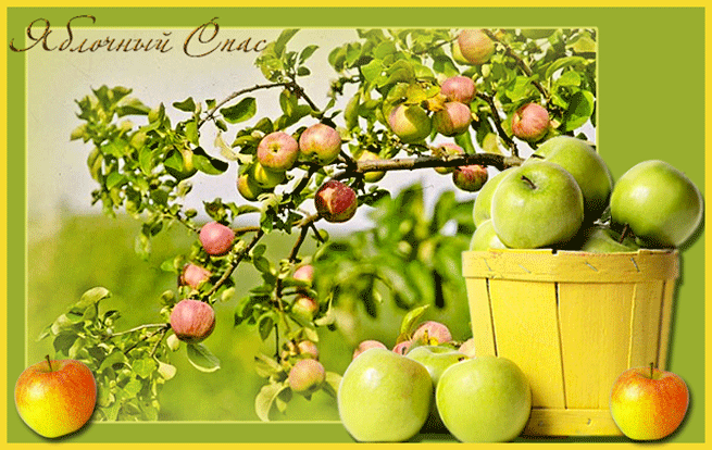 картинка под названием - Наконец-то Яблочный Спас!!! из категории С днём рождения.