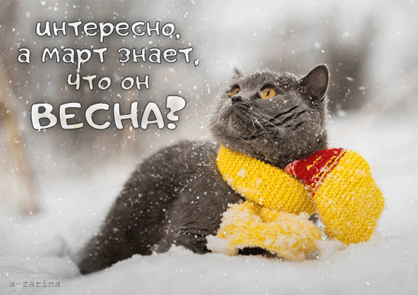 картинка под названием - Интересно, а март знает, что он весна! из категории С днём рождения.