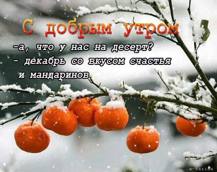 картинка под названием - с добрым утро (мандарины) из категории С днём рождения.