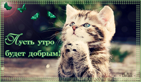 картинка под названием - Пожалуйста, пусть утро будет добрым из категории С днём рождения.