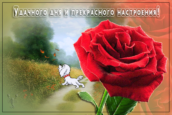картинка под названием - Удачного дня! из категории С днём рождения.