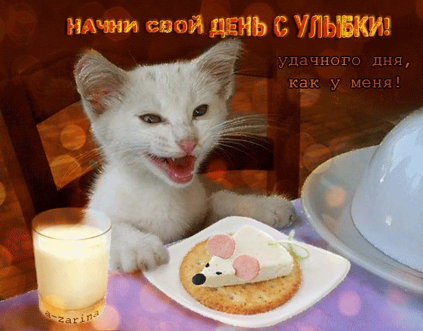 картинка под названием - Удачного дня. как у меня! из категории С днём рождения.