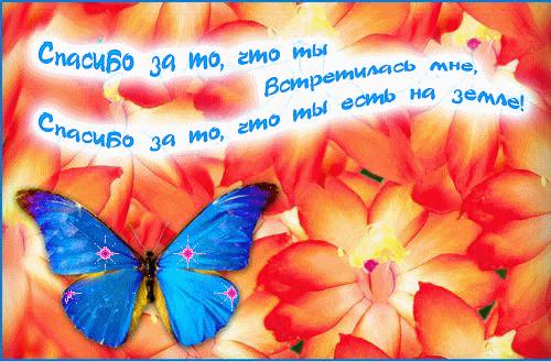 картинка под названием - Спасибо за то, что ты есть на земле! из категории С днём рождения.