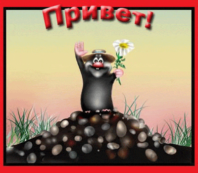картинка под названием - Привет! из категории С днём рождения.