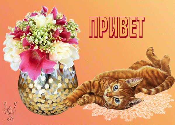картинка под названием - Привет! из категории С днём рождения.
