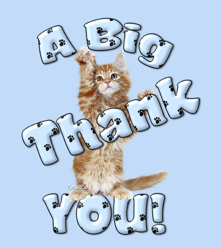 картинка под названием - A big Thank You! из категории С днём рождения.
