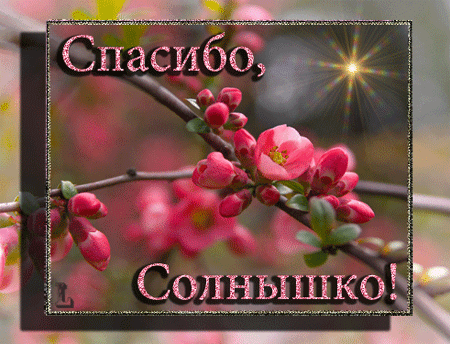 картинка под названием - Спасибо солнышко! из категории С днём рождения.