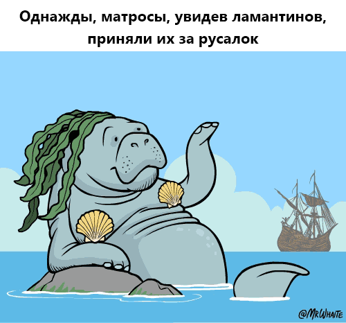 картинка под названием - Ламантины из категории С днём рождения.