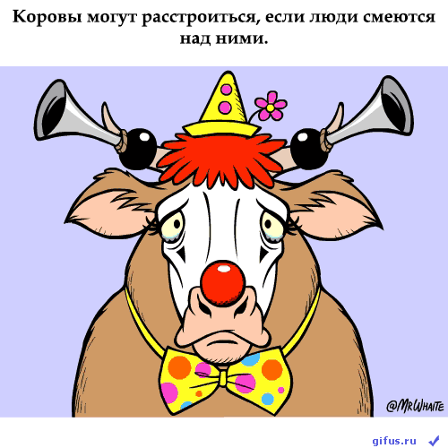 картинка под названием - Обидчивые коровы из категории С днём рождения.