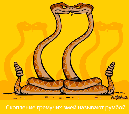 картинка под названием - Румба из категории С днём рождения.