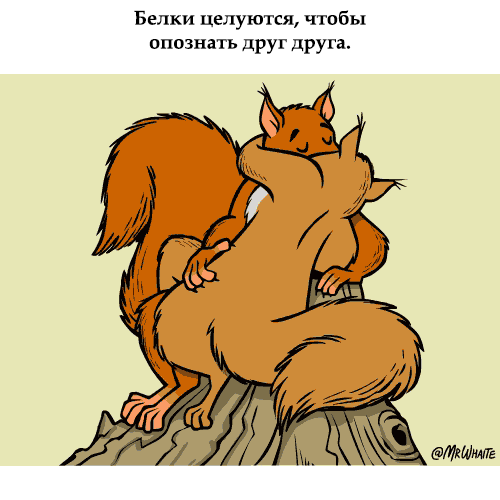 картинка под названием - Опознание из категории С днём рождения.