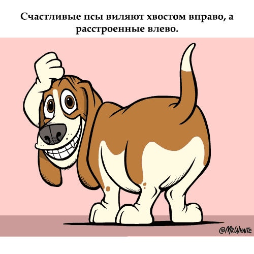картинка под названием - Настроение из категории С днём рождения.