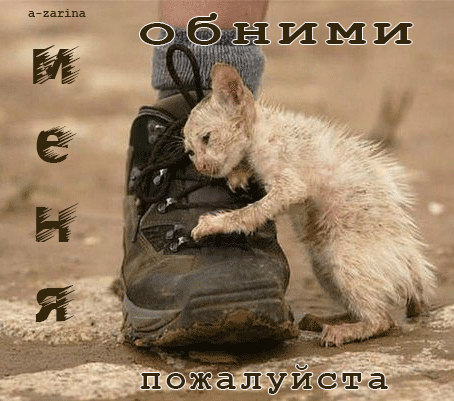 картинка под названием - Обними меня... пожалуйста из категории С днём рождения.