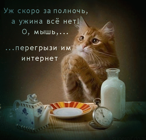 картинка под названием - Молитва голодного кота из категории С днём рождения.