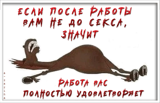 картинка под названием - не до секса из категории С днём рождения.