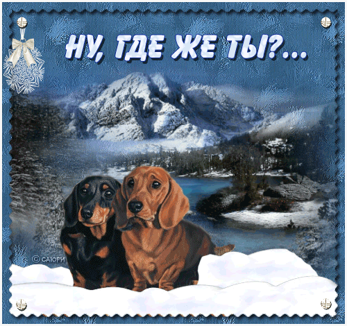 картинка под названием - Ну где же ты.. ответь скорей из категории С днём рождения.