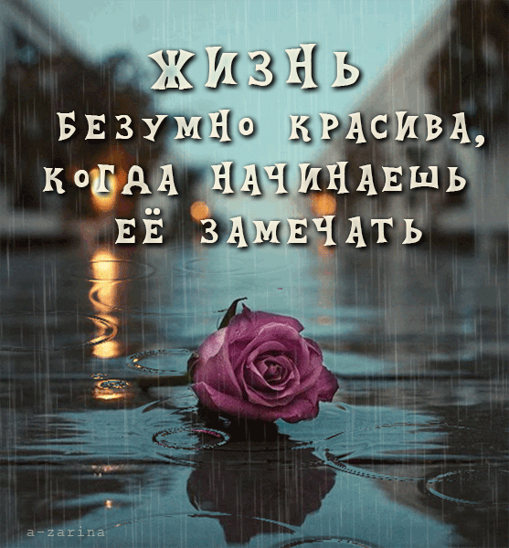 картинка под названием - дождь и роза из категории С днём рождения.