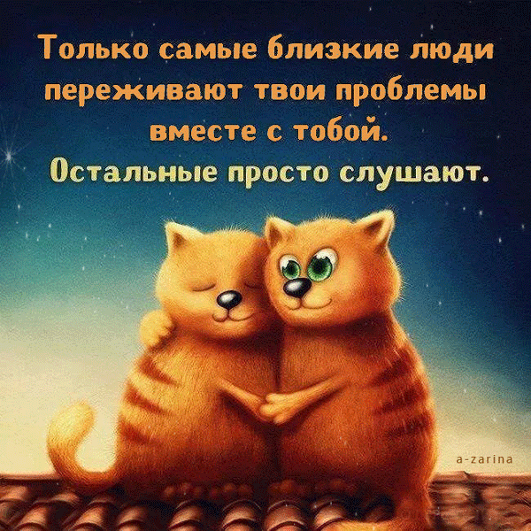 картинка под названием - Влюблённые коты из категории С днём рождения.