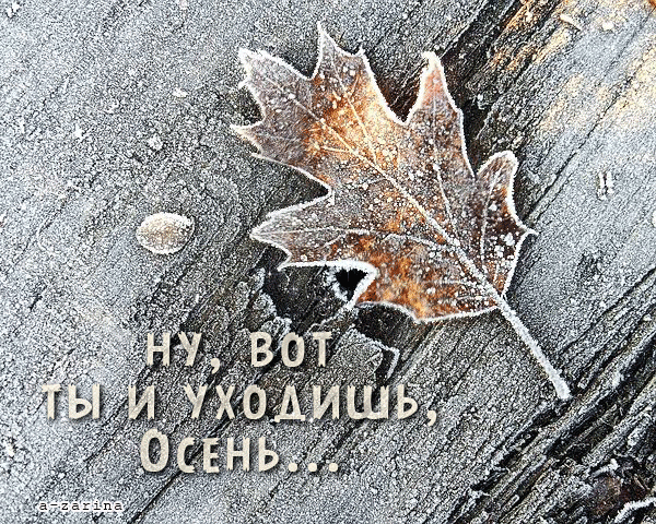 картинка под названием - последние дни осени из категории С днём рождения.